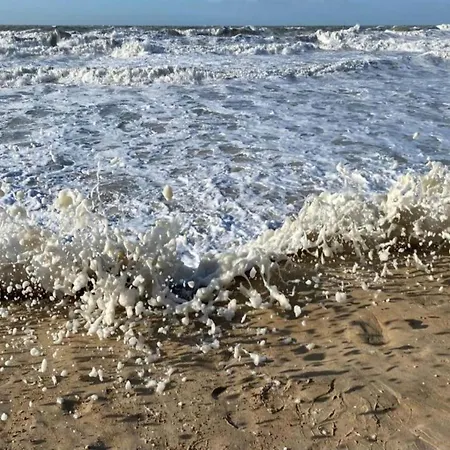 In Belgium With Sea Views Oostende