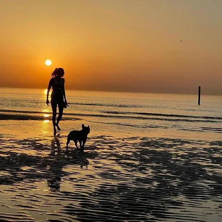 In Belgium With Sea Views Ostende