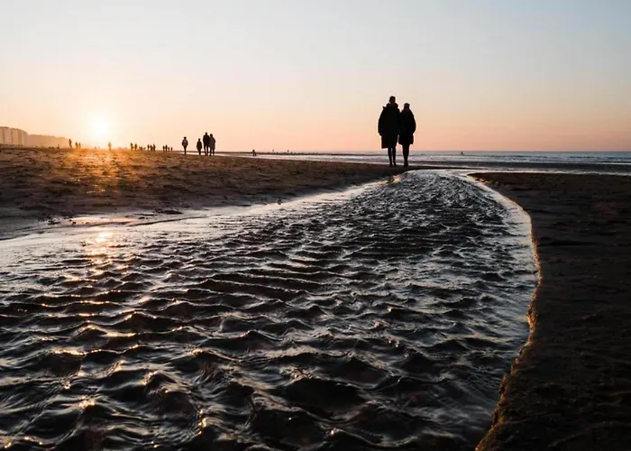 In Belgium With Sea Views *