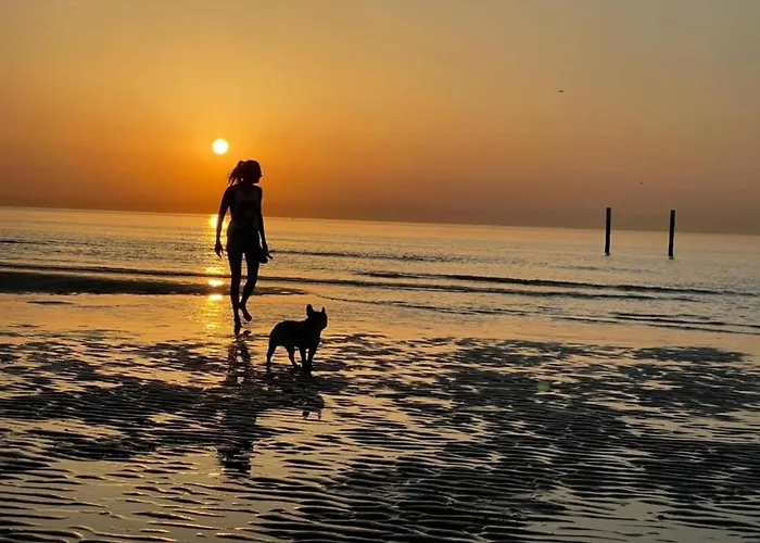 In Belgium With Sea Views Остенде