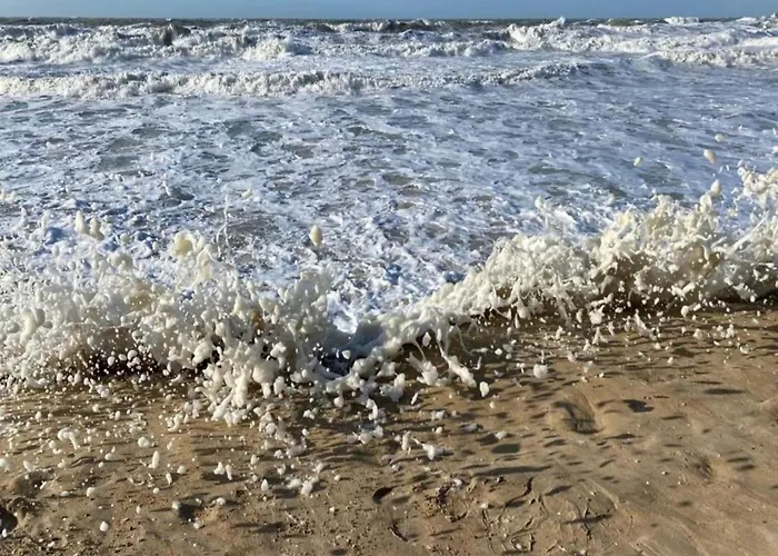 In Belgium With Sea Views Остенде